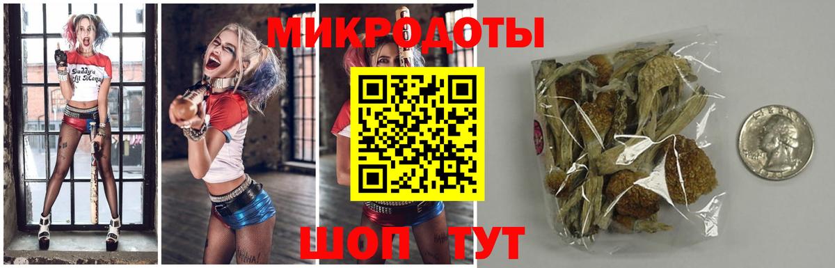 Галлюциногенные грибы Psilocybe  Вход с VPN  Лангепас  Галлюциногенные грибы Psilocybine cubensis 